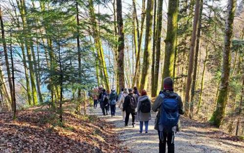 #4945 Wandern & Deutsch: gratis